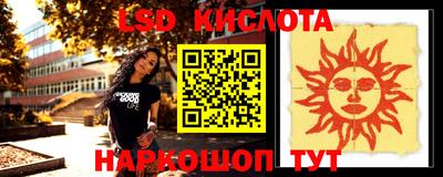 крисы Новозыбков