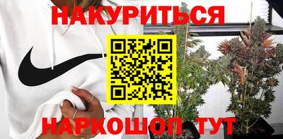 крисы Новозыбков
