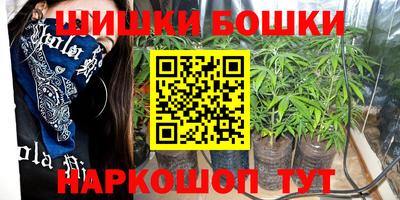 крисы Новозыбков