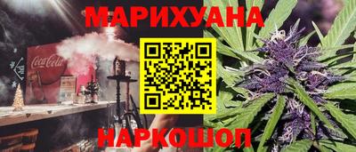 крисы Новозыбков