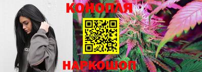 крисы Новозыбков