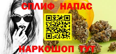 крисы Новозыбков