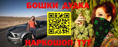 крисы Новозыбков