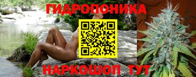 крисы Новозыбков
