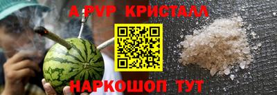 крисы Новозыбков
