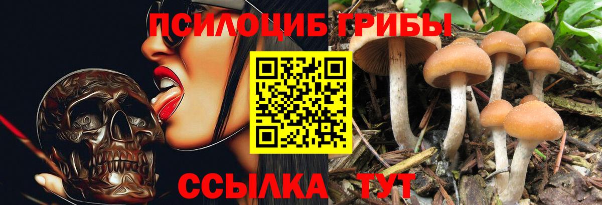 Солнечногорск  Псилоцибиновые грибы GOLDEN TEACHER  Вход с VPN  Галлюциногенные грибы прущие грибы 
